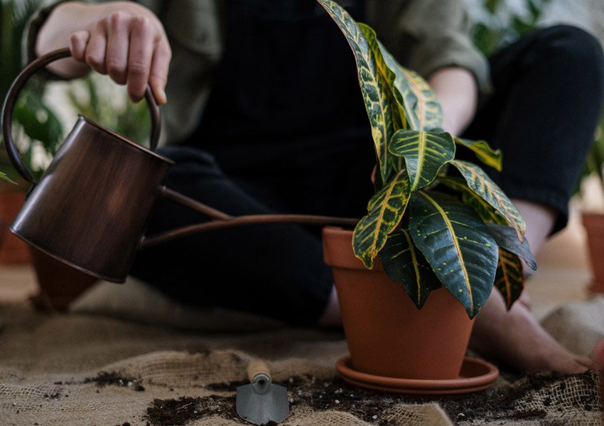 Investing your finances into therapy